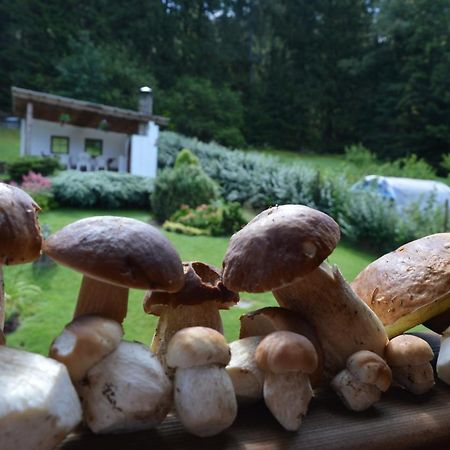 Apartmány U Vaců Železná Ruda Kültér fotó